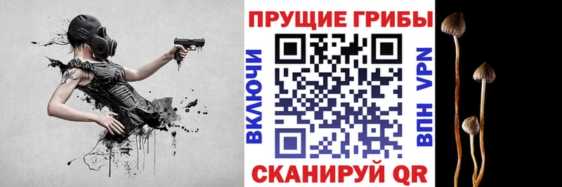 Галлюциногенные грибы Psilocybe  Бахчисарай 
