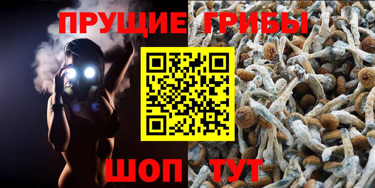 Галлюциногенные грибы GOLDEN TEACHER  Вход с VPN  Бахчисарай 